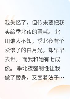 季北夜清月小说结局