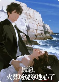 顾总，火葬场烧穿地心了无弹窗在线阅读-暗夜阅读网