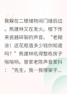 主角是苏梅熊建林的快穿任务：拆散主角的爸妈抖音热门小说-暗夜阅读网