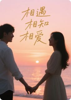 （全集-免费）相遇，相知，相爱完本小说_林微沈砚全文免费阅读