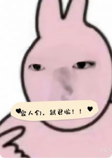 抖音小说【伊兰图灵米歇尔】全集免费版在线阅读