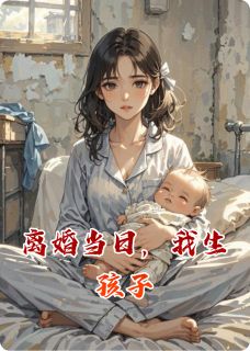 精品小说离婚当日，我生孩子全文目录畅读