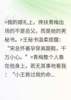 婚礼换新郎，孩子归你自由归我小说宋清漪王传骏林薇最新章节阅读