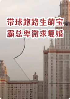 带球跑生天才萌宝霸总卑微求复婚小说(完结版)-苏晚傅擎深苏星澈在线阅读-暗夜阅读网