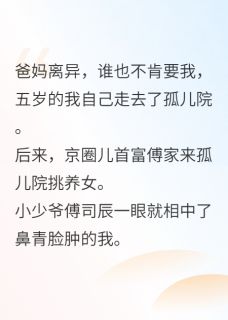 她与玫瑰皆绚烂(傅司辰霍廷琛蒋南星)小说全章节目录阅读
