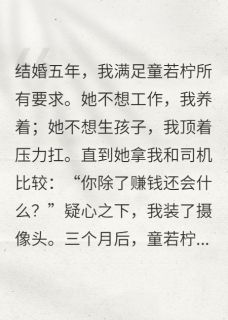 精品小说既然司机体贴，那你就不要后悔全文目录畅读