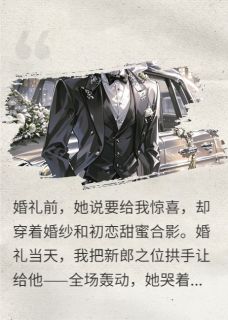 刘建军巫玉兰小说全文免费阅读婚礼当天，我把女友初恋当新郎全文免费阅读-暗夜阅读网