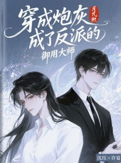 主角许宴沈珏许昕小说完整版-穿成炮灰成了反派的御用大师免费阅读全文