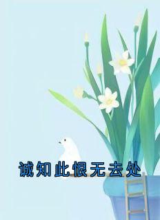 诚知此恨无去处赵茹薇司临施姜-小说txt全文阅读