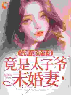 爆款小说儿子救命钱换来的未婚夫是绿茶在线阅读-时南汐应淮章免费阅读-暗夜阅读网