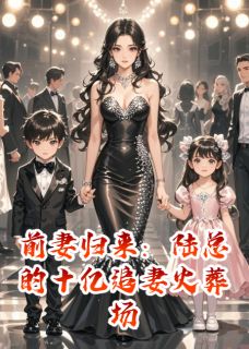 良心推荐前妻归来：陆总的十亿追妻火葬场小说试读-暗夜阅读网