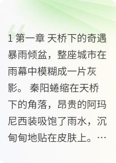 书荒必备天桥下的奇遇全文章节阅读-暗夜阅读网