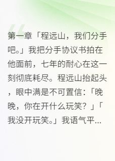 主角是程远山晚晚江城的小说-七年不娶我分手，总裁男友疯了完整章节阅读