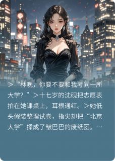 沈砚林晚章节免费阅读