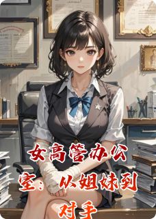 猫头鹰的眼的小说女高管办公室：从姐妹到对手主角是苏纹欣丁玉霞罗薇妮-暗夜阅读网