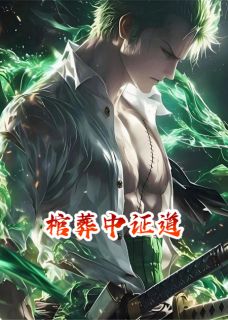 抖音小说棺葬中证道主角棺椁赵无极全文小说免费阅读
