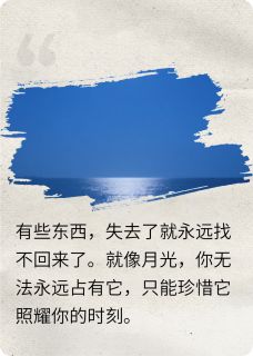 肥鲈最新小说月亮不再为他而亮陆远小雨苏雯在线试读