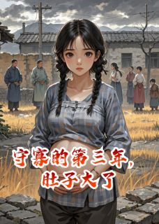 守寡的第三年，肚子大了(新书)大结局在线阅读-暗夜阅读网