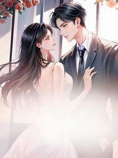 老婆给别人养娃，我却成了笑话在线阅读 小宇阮慧娴免费小说精彩章节