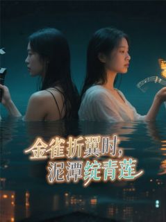 金雀折翼时，泥潭绽青莲小说(完结)-雅盈老杨小夏无删减阅读