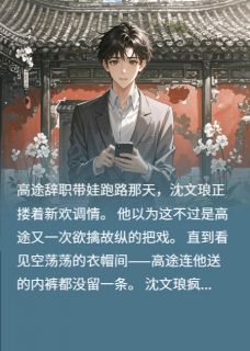 抖音小说高途沈文琅高途沈文琅无弹窗试读