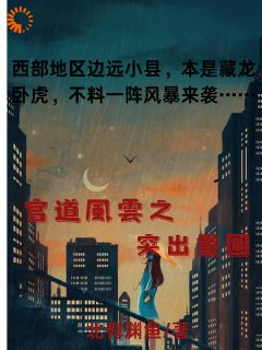 官道风云之突出重围小说_官道风云之突出重围小说结局阅读-暗夜阅读网