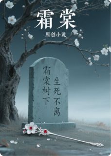 霜棠在线全文阅读-主人公白霖逯如初菲菲小说-暗夜阅读网