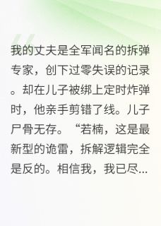 秦峥岁岁柳莺莺小说他拆弹专家，我拆人免费阅读