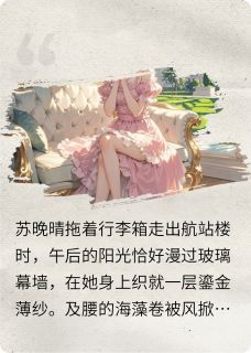 苏晚晴陆知衍是哪本小说主角 盛夏与你都很好免费全章节阅读