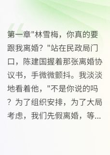 老公出轨我离婚创业成功小说_老公出轨我离婚创业成功小说结局阅读