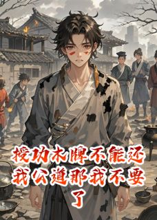 独家授功木牌不能还我公道那我不要了全本大结局小说阅读-暗夜阅读网