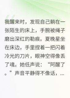 被偷走的晚星小说全章节目录阅读BY神秘风华完结版阅读