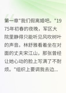 全章节小说识破丈夫假离婚骗局我果断改嫁小雨说书最新阅读