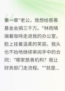高质量小说妻子转三千万给前男友我选择离婚在线试读