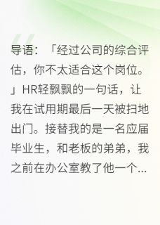 试用期最后一天，公司把我开除了康达张莉大结局小说全章节阅读