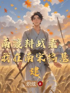 南渡耕战录：我在南宋搞基建（全本）林岳詹紫嫣王富贵完整章节列表免费阅读