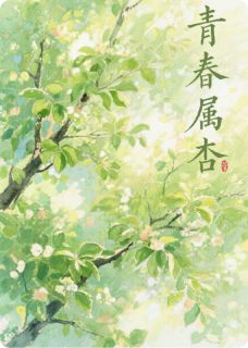 抖音小说【林桉周念童】全集免费版在线阅读