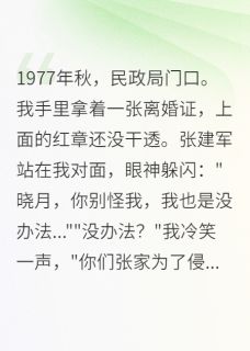 无广告小说重生：七零假离婚的惊天骗局-张丽华张建军王翠花在线阅读