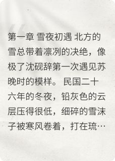 主角是苏晚沈砚辞的小说叫什么碎圆缺免费全文阅读