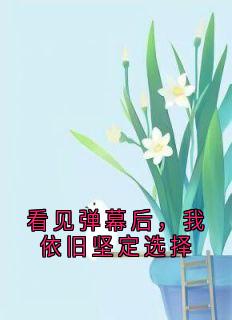 快手热文看见弹幕后，我依旧坚定选择许晚许念小说推荐