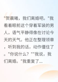 重生后离婚，军区首长求我回头在哪免费看，贺晨曦苏雅小说章节目录阅读
