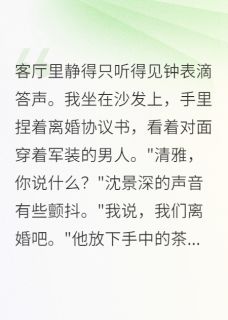 离婚吧，沈首长，我不伺候了小说的书名是什么