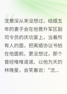 军区副司令慌了，妻子要离婚by楠楠不吃番茄免费阅读小说大结局