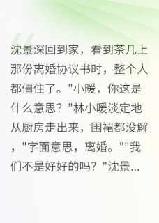 (热推新书)重生撂挑子，首长秒怂了沈景深小暖无弹窗阅读