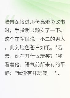 重生：首长，我们离婚吧by春去秋来未寻她(陆景深若云)未删节免费阅读-暗夜阅读网