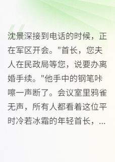 新书推荐军婚破裂：首长，签字吧完整版小说-沈景深晚星李雅最新章节阅读