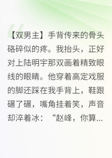 甜9先生最新小说顶流逼我当替身，我让他身败名裂陆明宇沈默赵磊在线试读