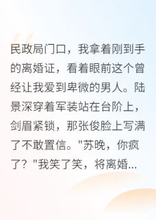 小说重生后，我让军区首长净身出户主角为陆景深苏晚免费阅读
