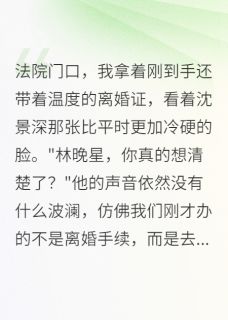 离婚后,冷面军官跪求复合by晚风细雨知我意小说完结版在线阅读-暗夜阅读网