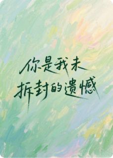 你是我未拆封的遗憾小说的书名是什么